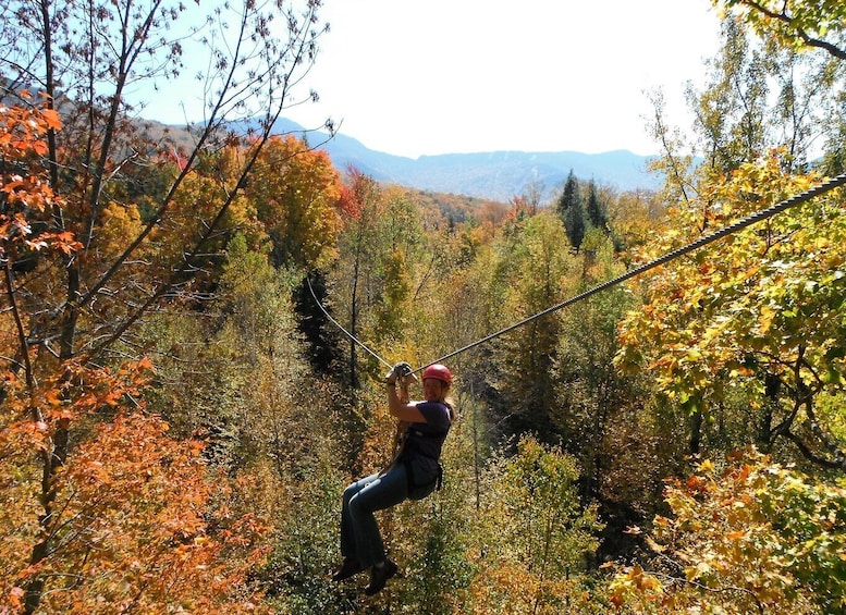 A person zip-lining through a forest with autumn foliage. 3