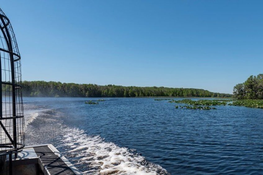 A boat moving through a body of water with lily pads and a forested shoreline. 3