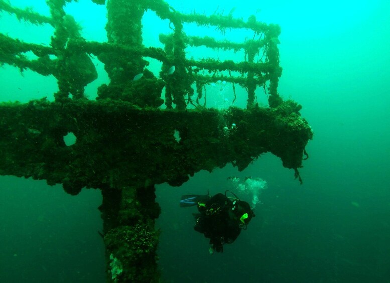 A diver exploring an underwater shipwreck with visible structural remnants and marine growth. 1