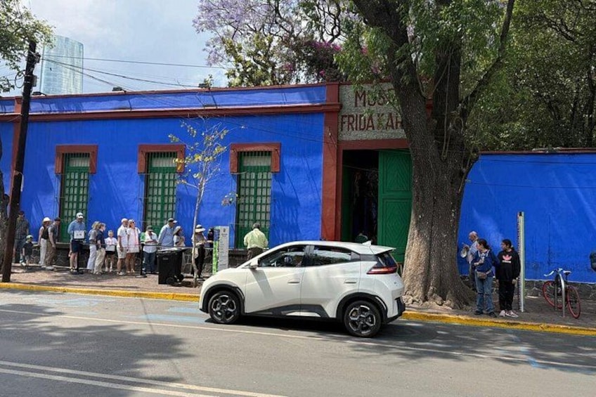 Xochimilco Tour and the World of Frida Khalo 3