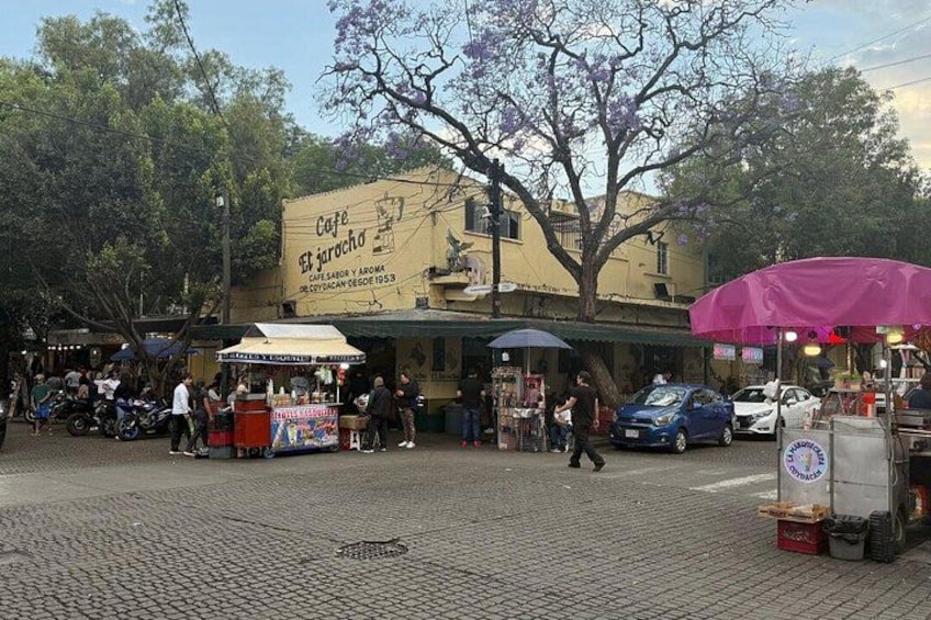 Xochimilco Tour and the World of Frida Khalo 5