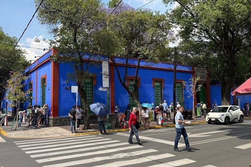 Xochimilco Tour and the World of Frida Khalo 4