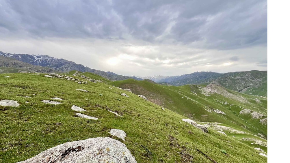 A grassy mountain landscape with scattered boulders and distant snow-capped peaks under a cloudy sky. 1