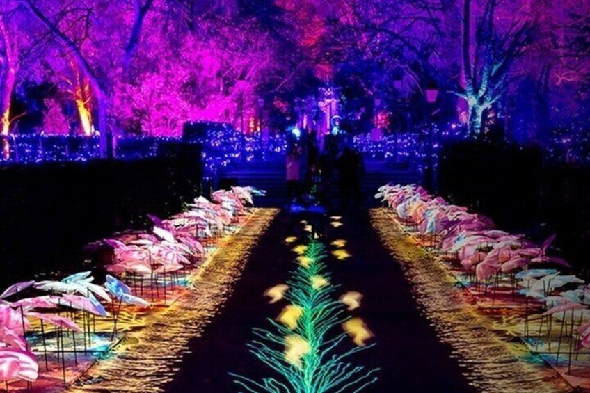 A pathway lined with pink flamingos and illuminated by colorful lights. 2