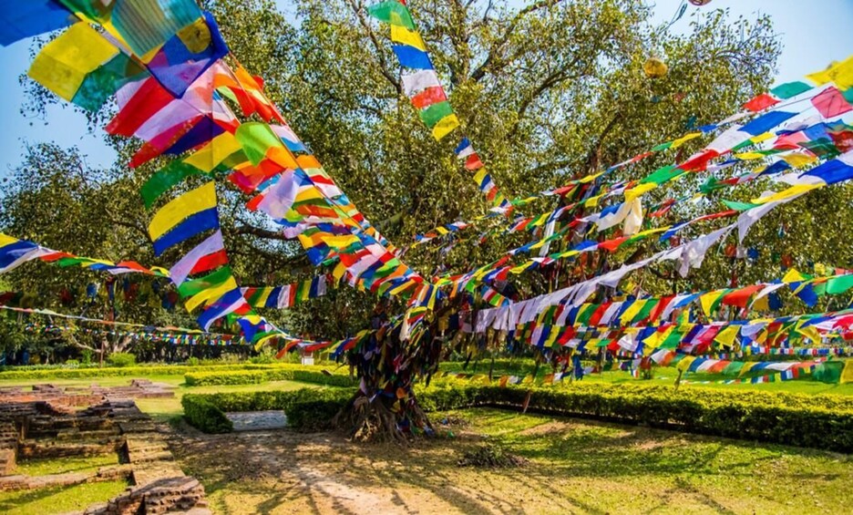 A tree with colorful prayer flags. 5