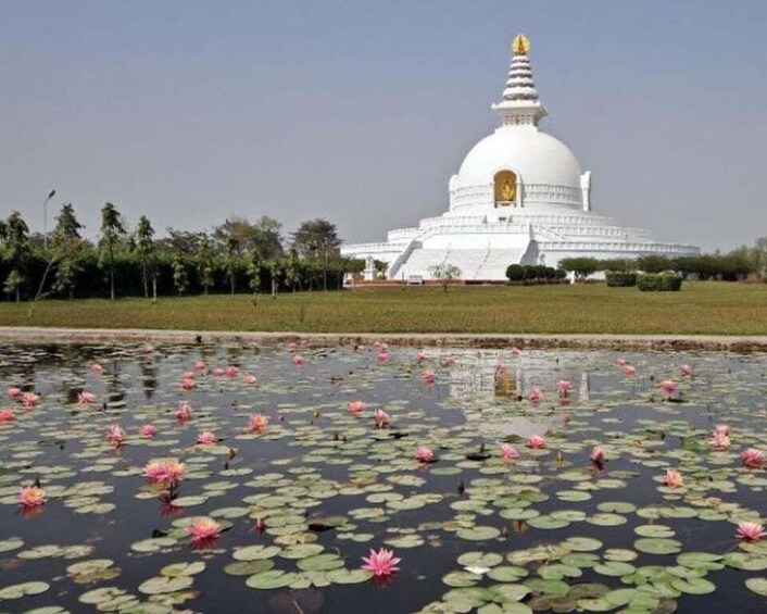 A white stupa with a golden spire, surrounded by a lotus pond and greenery. 3