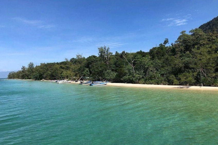 A beach with clear turquoise water, a sandy shore, and a forested hillside. 2