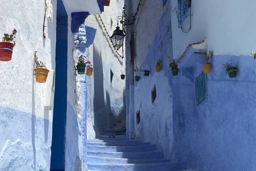A narrow alley with white walls and blue accents, potted plants, and hanging lanterns. 1