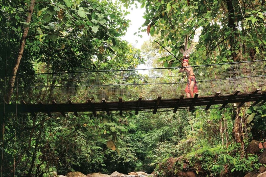 A person walking on a suspension bridge in a forested area. 5