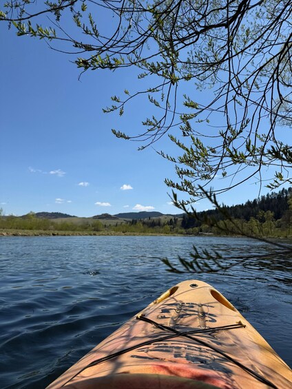 Picture 6 for Activity Pieniny National Park: Kayaking in the Dunajec River Gorge 3