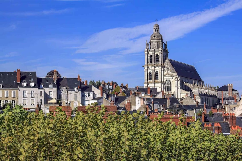 Hello Blois: Private 2-Hour Intro City Walk with Local Guide 1