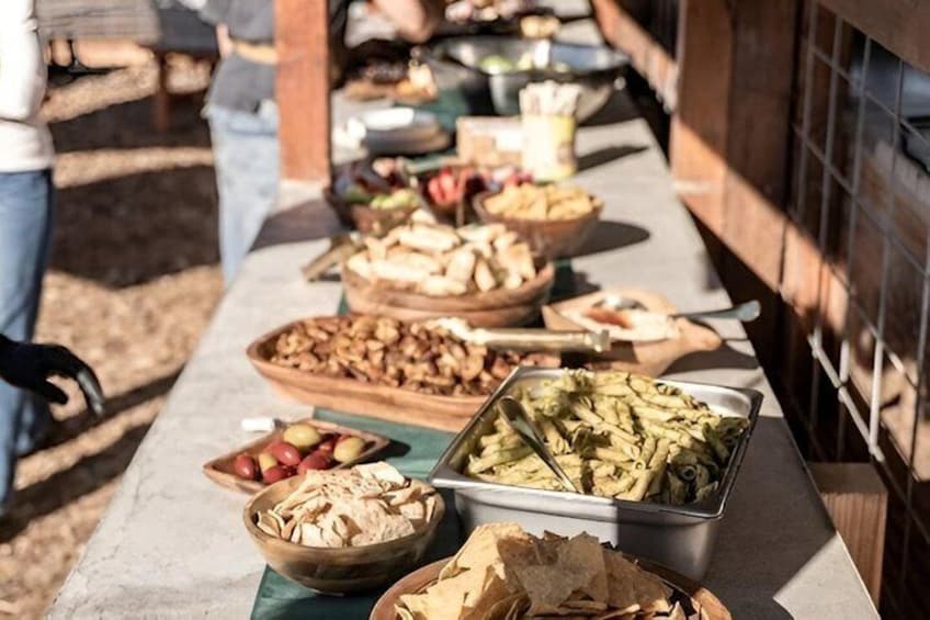 Vegan Italian Cooking Class in San Diego Cucina Migrante 3