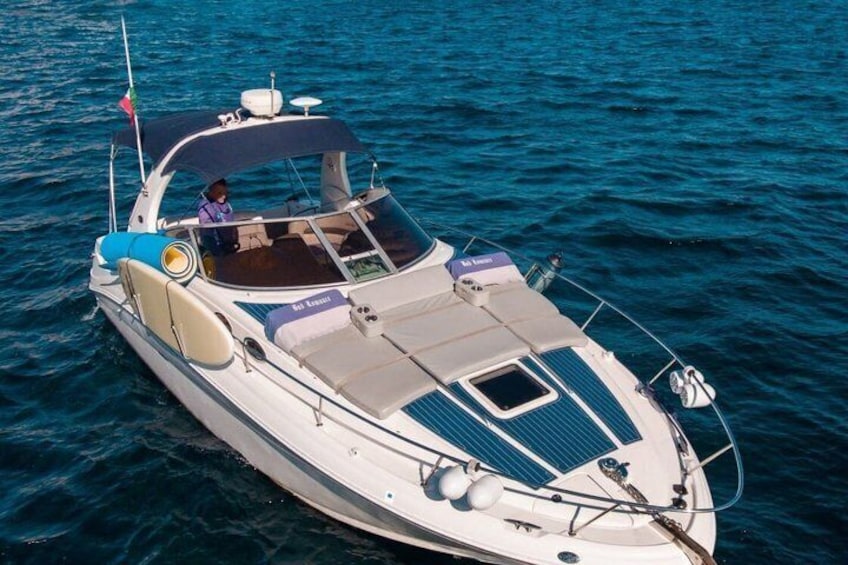 A white motorboat with a blue canopy, a flag, and a person seated at the helm. 5