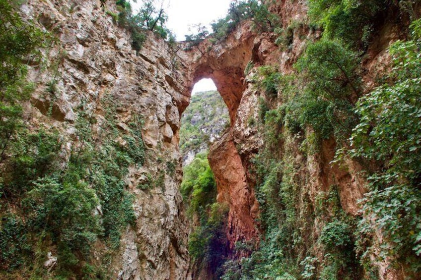 Una formación natural de arco de roca rodeada de vegetación. 1