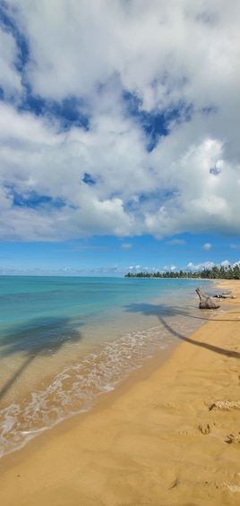 Picture 7 for Activity From San Juan: Zip Line, River and Luquillo Beach tour 4