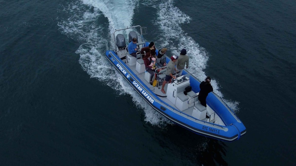 A blue boat named 'African Ocean Safaris' with passengers and a wake behind it. 1