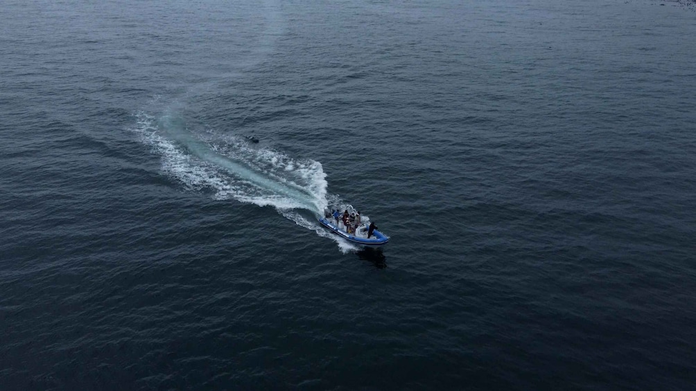 A blue boat speeding across a large body of water, creating a wake behind it. 3