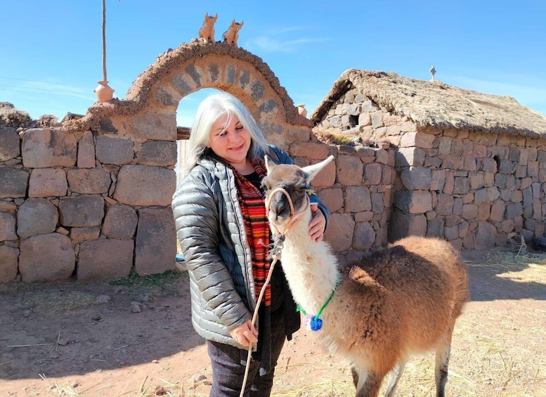 A person holding a llama in front of a stone wall with a thatched roof structure. 2