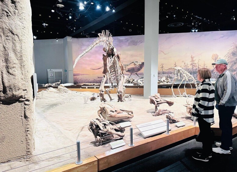 A museum exhibit with dinosaur skeletons and a desert landscape mural. 3