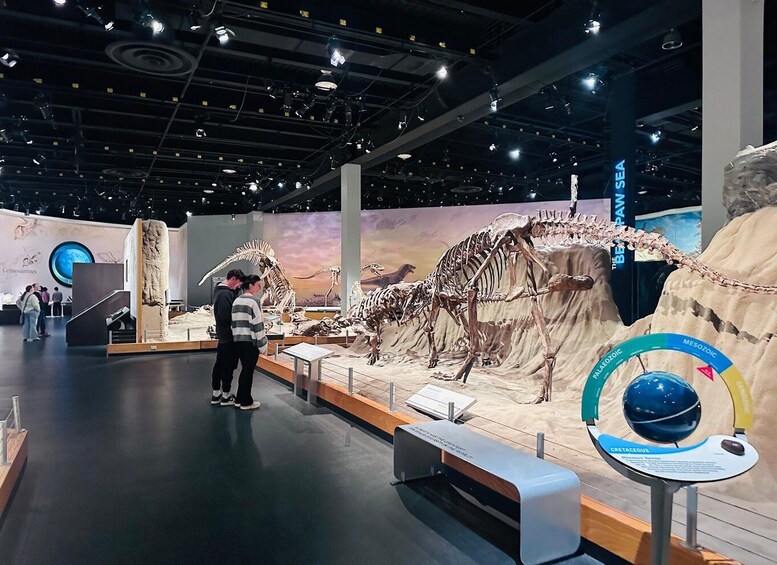 A museum exhibit with dinosaur skeletons and a timeline of Earth's history. 5