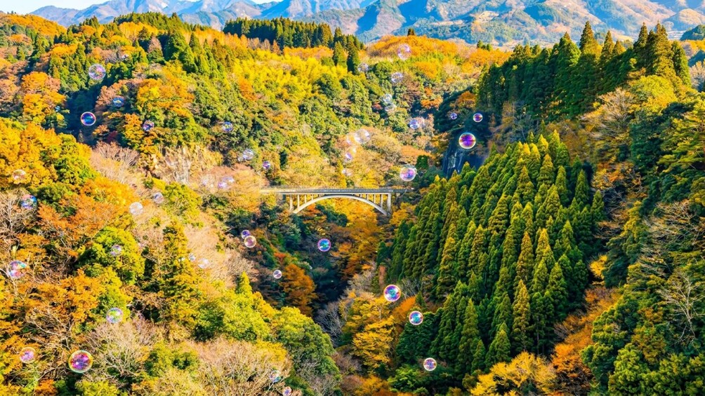 Picture 10 for Activity Fukuoka: Takachiho Gorge&Vintage Train, Optional Boat Ride 4