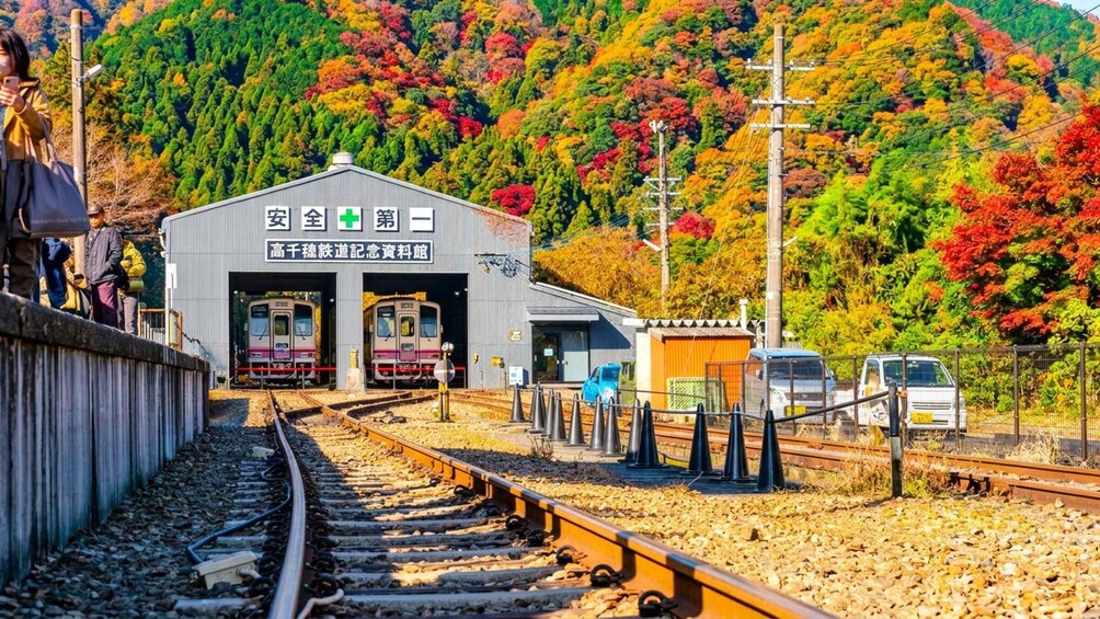 Picture 13 for Activity Fukuoka: Takachiho Gorge&Vintage Train, Optional Boat Ride 2