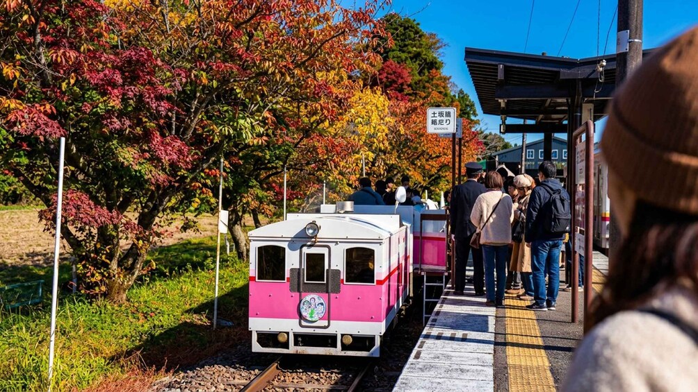 Picture 18 for Activity Fukuoka: Takachiho Gorge&Vintage Train, Optional Boat Ride 4