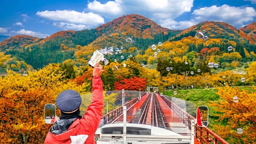 Fukuoka: Takachiho Gorge&Vintage Train, Optional Boat Ride 3