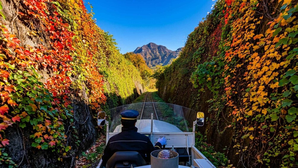 Picture 13 for Activity Fukuoka: Takachiho Gorge&Vintage Train, Optional Boat Ride 5