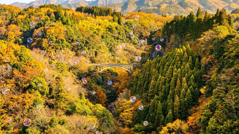 Picture 9 for Activity Fukuoka: Takachiho Gorge&Vintage Train, Optional Boat Ride 2