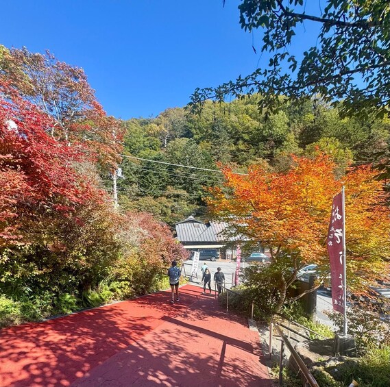 A red pathway leading to a traditional building surrounded by autumn foliage. 1