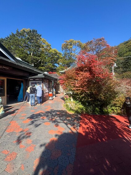 A pathway with red and grey tiles, surrounded by trees with autumn foliage, leading to a traditional building with a sloped roof. 5