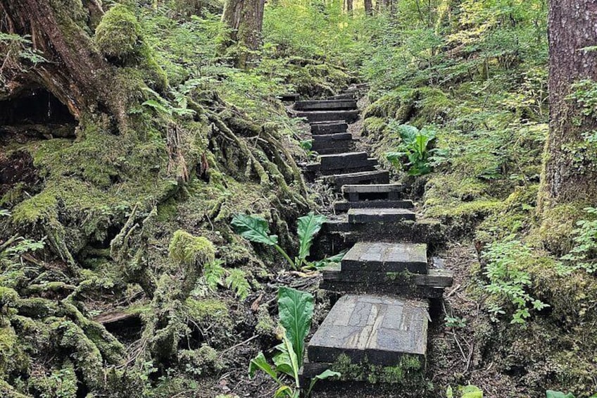 Customizable Ketchikan Experience. 4
