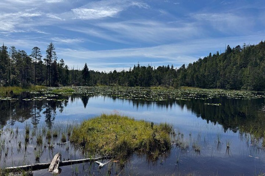 Customizable Ketchikan Experience. 3