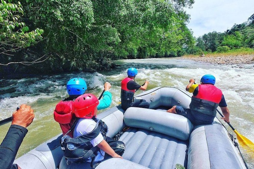 Eine Gruppe von Menschen treibt mit Rafts einen Fluss hinab, umgeben von viel Grün. 4
