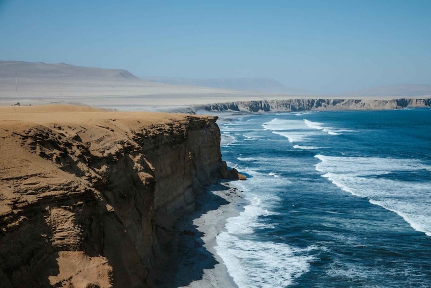 Picture 9 for Activity Paracas: Full Sightseeing Tour – Ballestas Islands, Paracas Reserve, and Huacachina 4