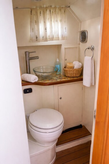 A compact bathroom with a toilet, a sink, and a shower curtain. 4