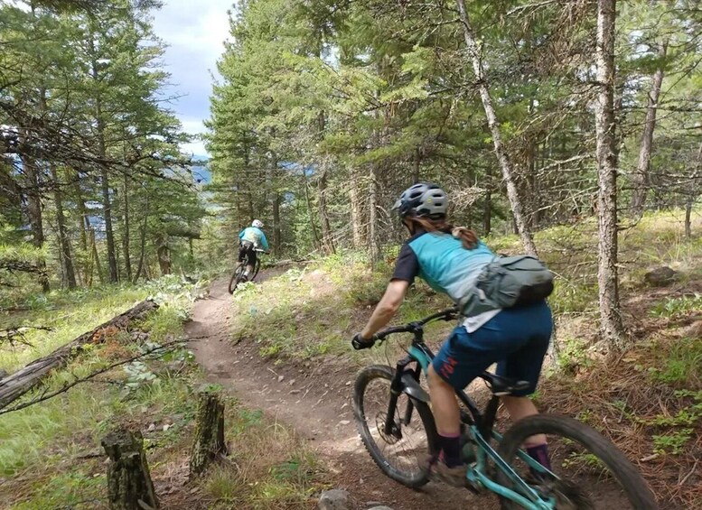 Picture 3 for Activity Kelowna: Gillard Gravity Mountain Bike Tour 2