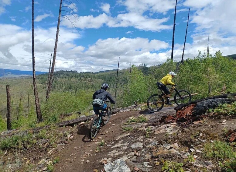 Picture 2 for Activity Kelowna: Gillard Gravity Mountain Bike Tour 3