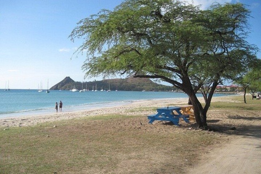 A beach with a large tree, a picnic table, and sailboats in the distance. 5