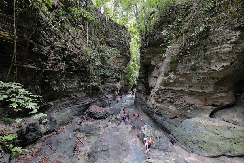 A canyon with hikers on a narrow trail surrounded by rocky cliffs and greenery. 4