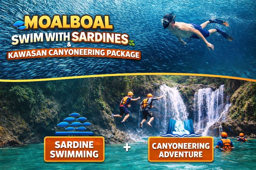 A package for swimming with sardines and canyoning adventure. 1