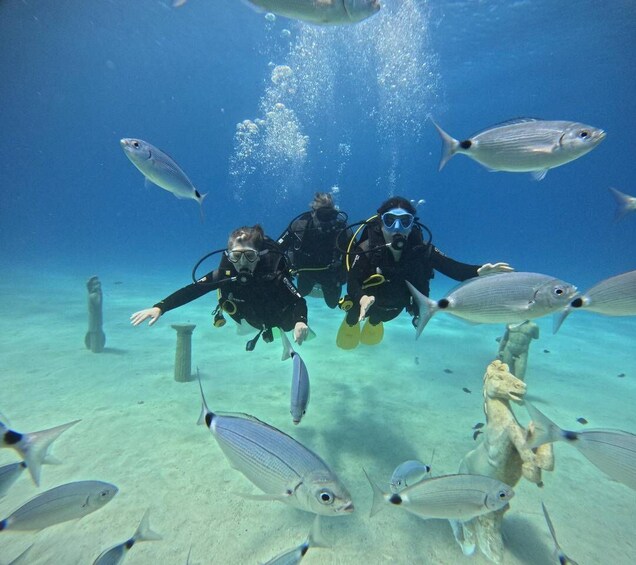 Two scuba divers swimming with fish in clear blue water. 4