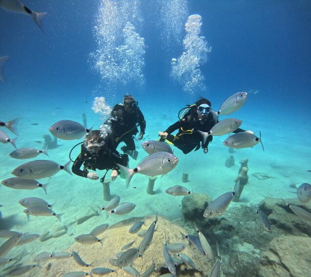 Two scuba divers swimming with a school of fish in clear blue water. 3