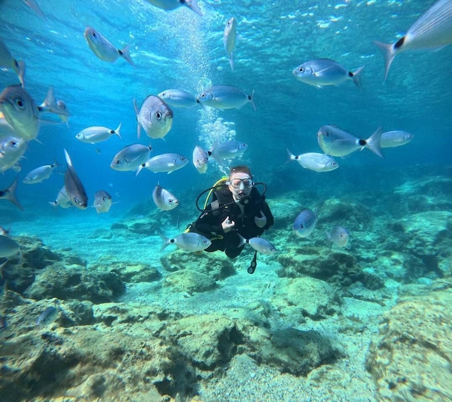 A diver surrounded by fish in clear blue water. 1