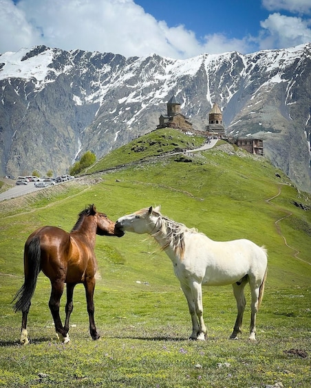 Two horses in a grassy field with a mountainous backdrop and a bell tower. 1