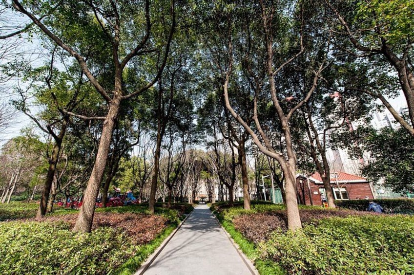 A tree-lined pathway with a paved walkway, surrounded by greenery and buildings in the background. 4