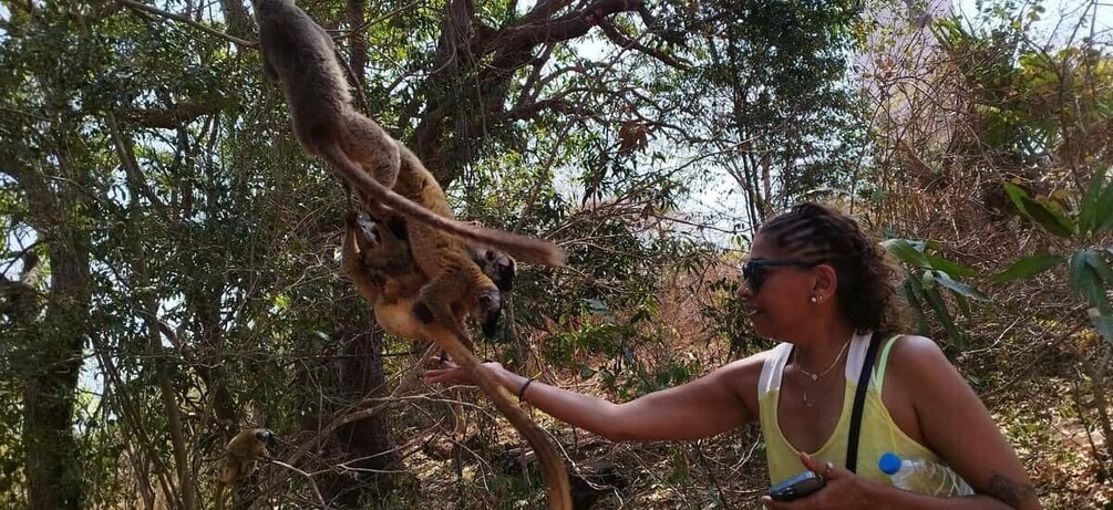 A person interacting with a large tree. 5