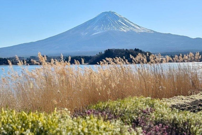 Mount Fuji Private Day Tour with English Speaking Driver 2
