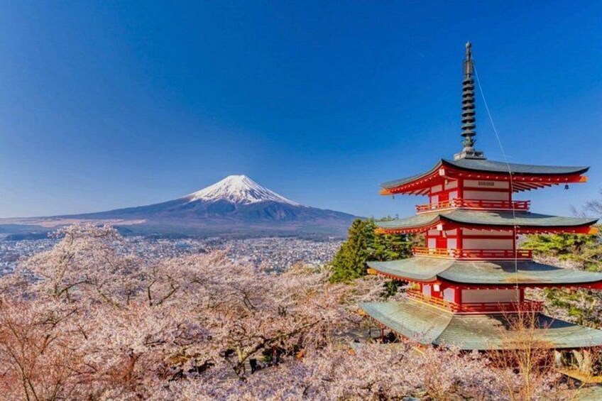 Mount Fuji Private Day Tour with English Speaking Driver 1